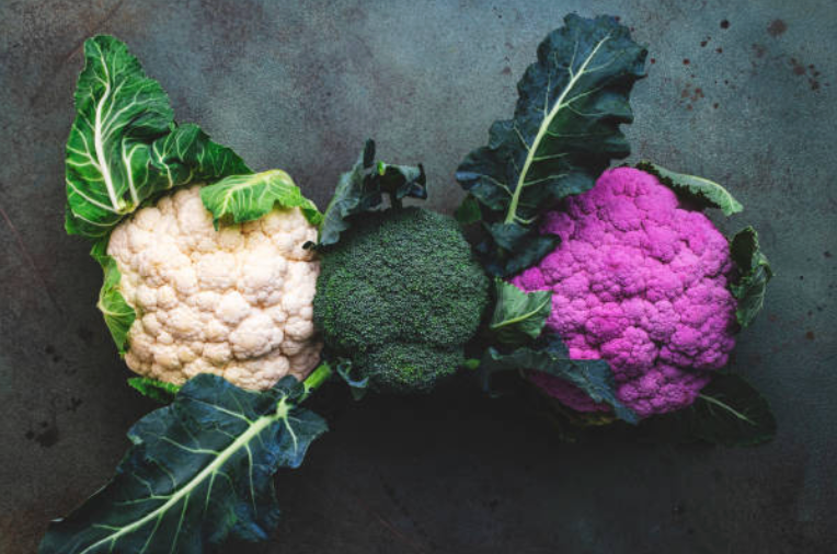 Natural Ways to Support Biofilm Disruption (Herbs, Compounds, Diet, and Strategy)