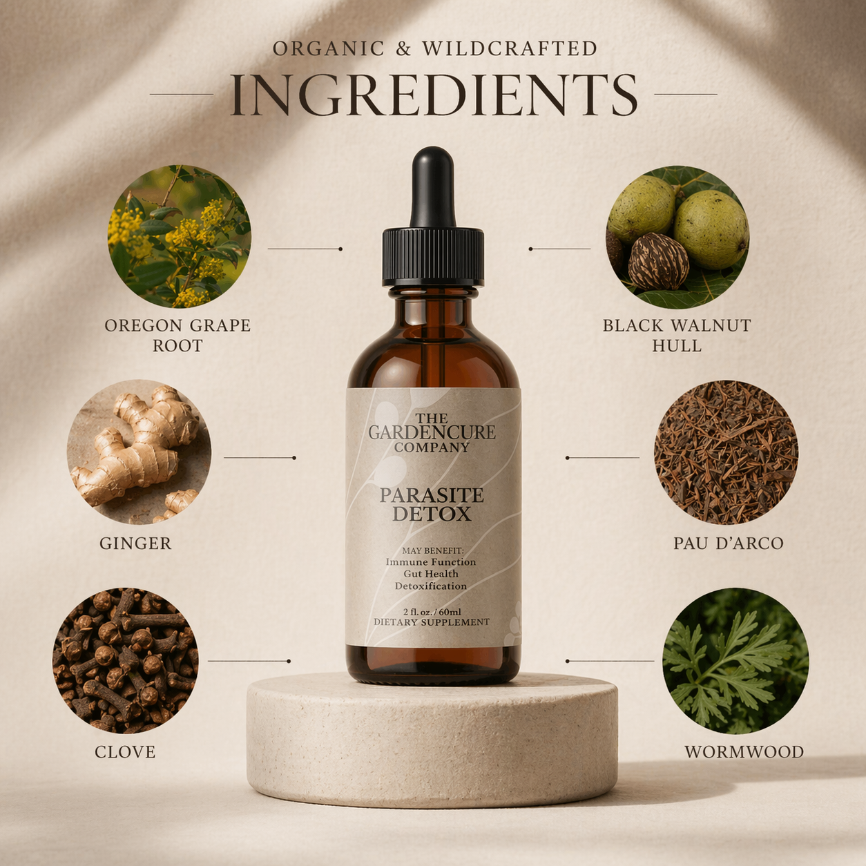 Complete Parasite Detox Kit (Maintenance)