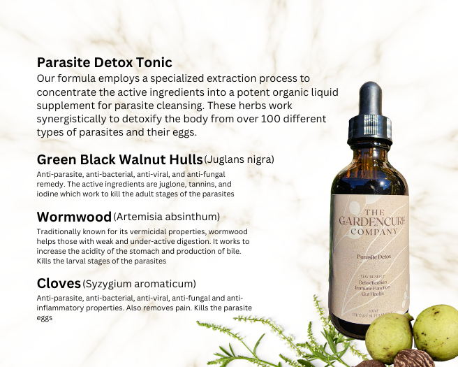 parasite detox tonic