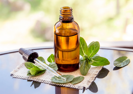 A Beginner's Guide to Herbal Tinctures: Simple, Potent, and Shelf-Stable