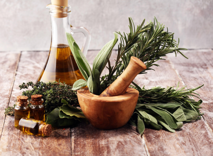 How Parasites Are Addressed During a Cleanse