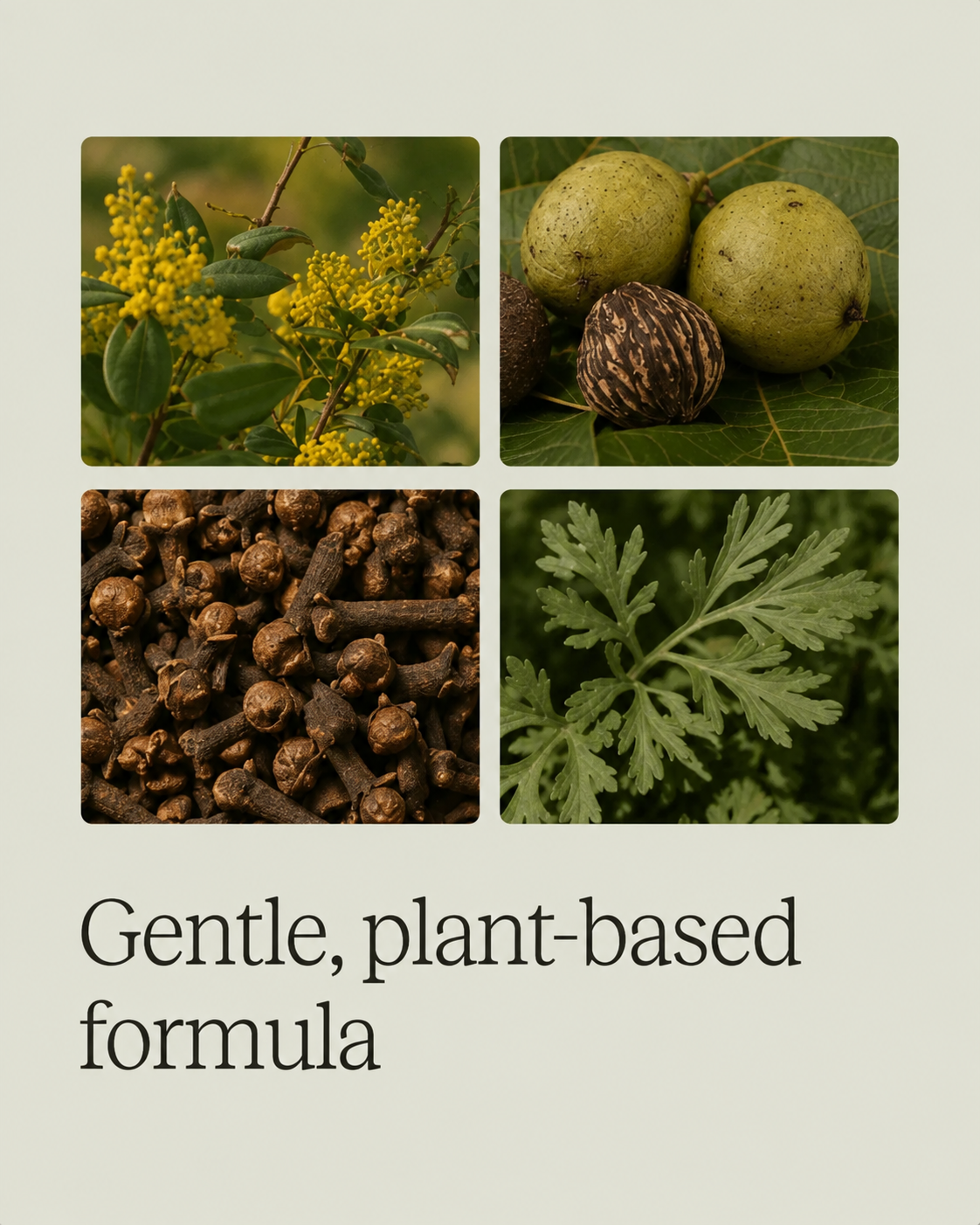 Complete Parasite Detox Protocol