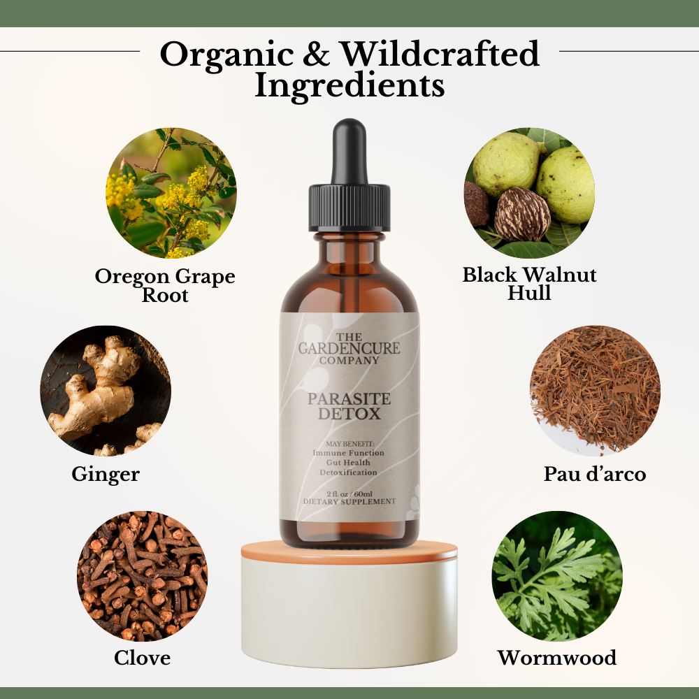 Complete Parasite Detox Kit (Full 90-Day Cleanse)